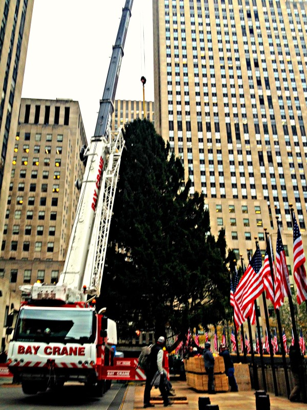 Rockefeller Christmas Tree 2013